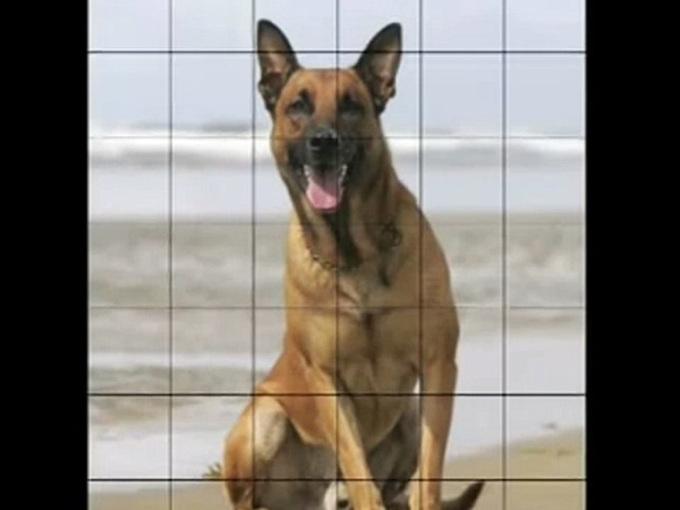 How to draw cartoons step by step - cartoon characters to draw