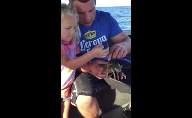 Girl Drops Live Crab in Daddys Lap
