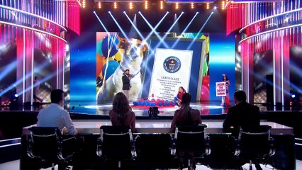 Une fois sur scène, ce chien impressionne tout le monde et réalise un record mondial !