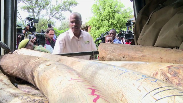 Kenyan conservation staff and army prepare for ivory giant burn