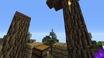 Hacker on skywars|Report #3