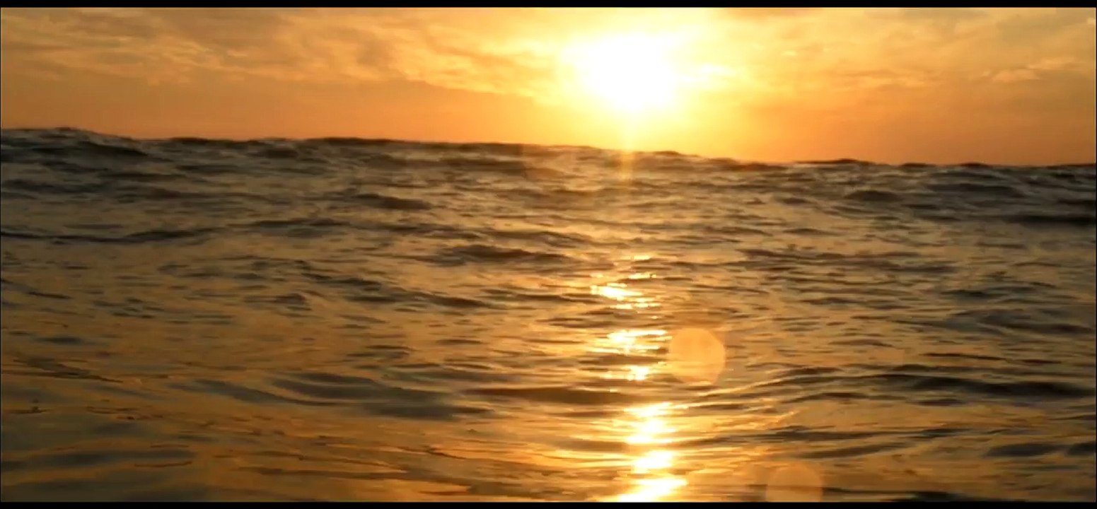 swear like a sailor-tep no