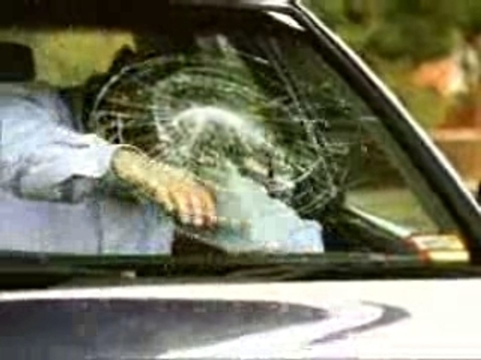 Seatbelt