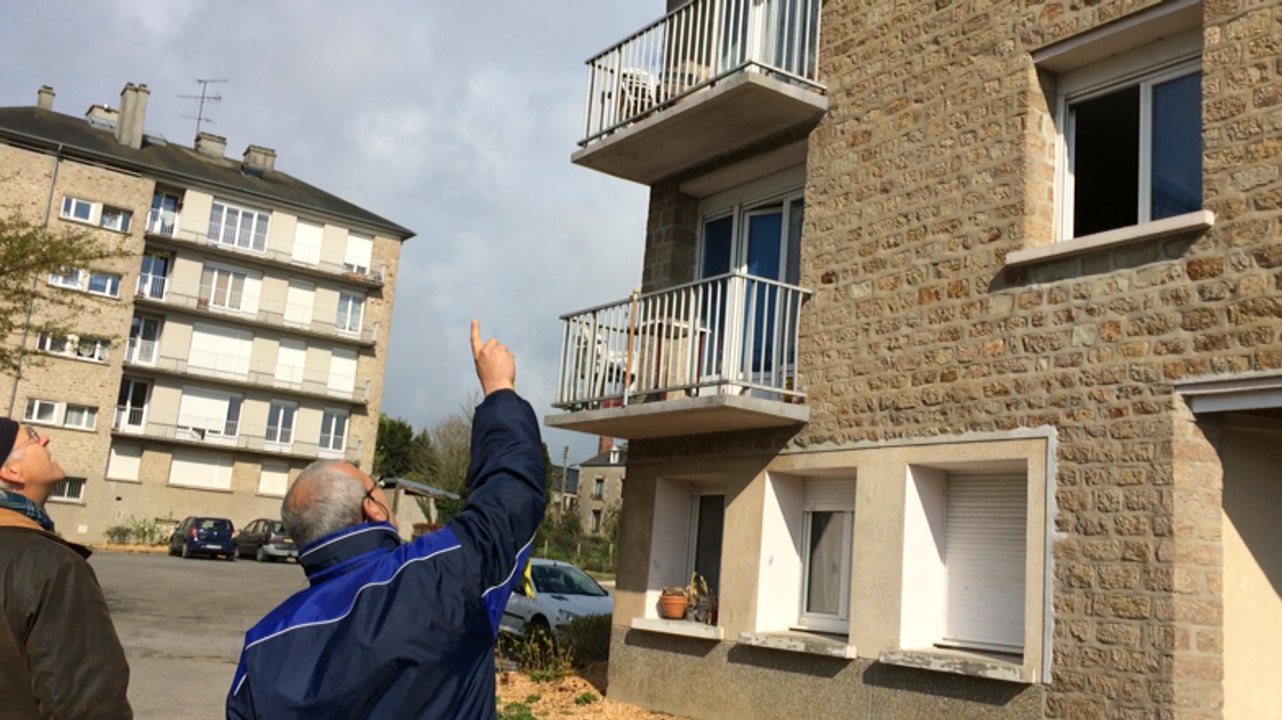 Découverte des oiseau à la Turfaudiere