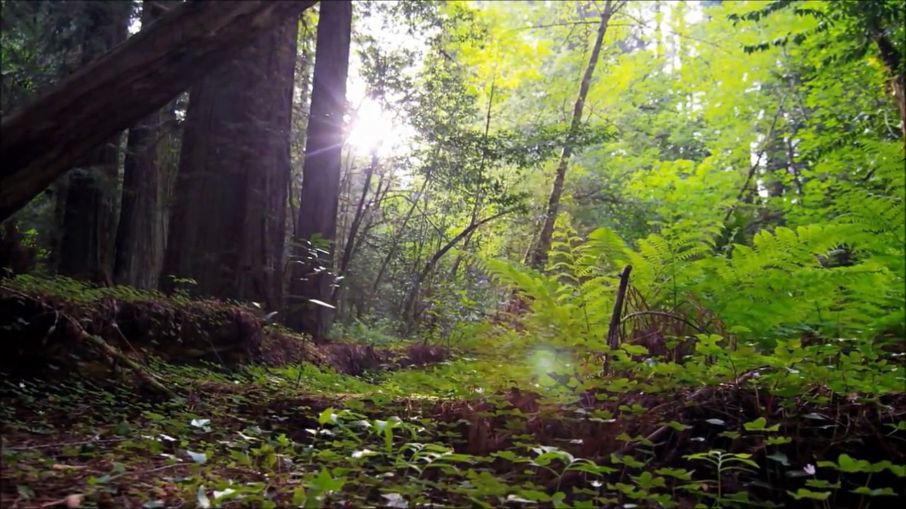 Exploring Our Solar System: Planets and Space for Kids - FreeSchool