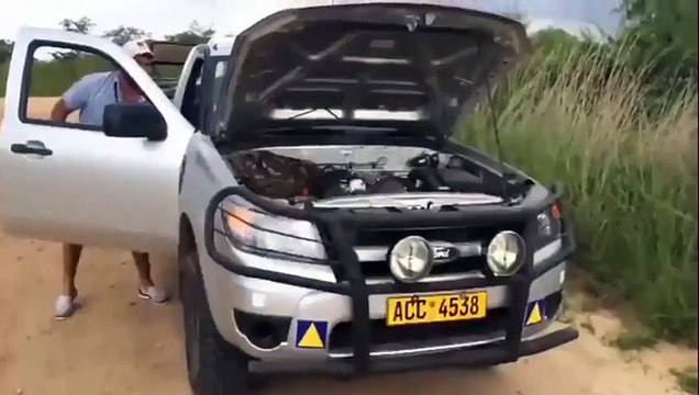 Что можно встретить под капотом машины в Африке УЖАААС