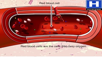 How a blood clot forms - Blood clotting Mechanism and Physiology