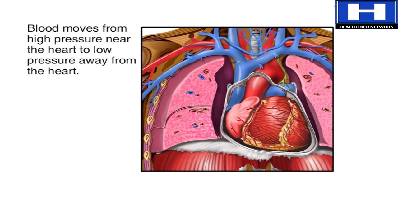 How Blood Pressure Works Animation - Understanding Blood Pressure Measurement Monitor Readings Video