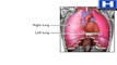 How breathing works - Respiratory system functions and mechanism