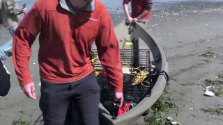 Crabbing in a NuCanoe