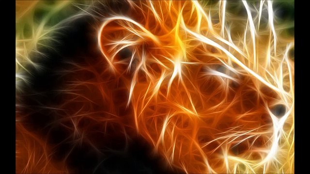 Arabian Vivo Waka Nice DJ Music-part-001