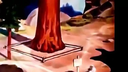 Walt Disney : Hai chú sóc vui nhộn Chip và Dale