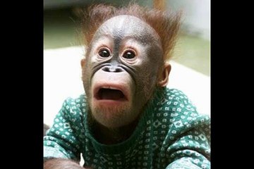 MY REACTION TO THE END OF ENDLESS EIGHT!