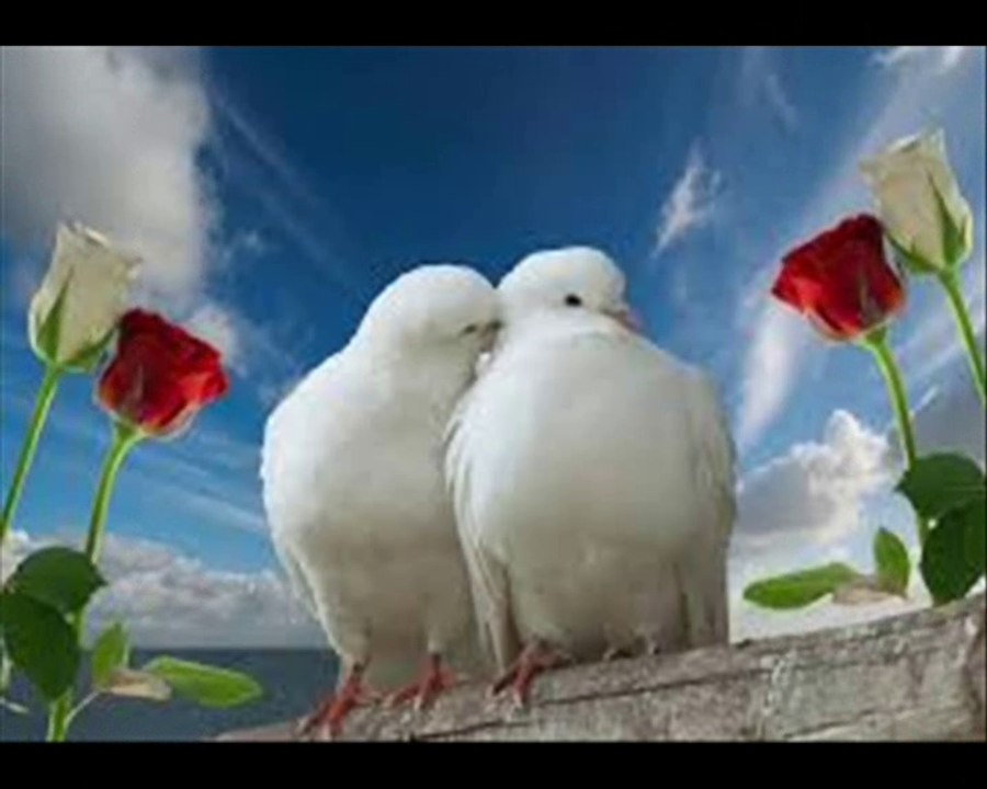 Chanson LA CHENILLE