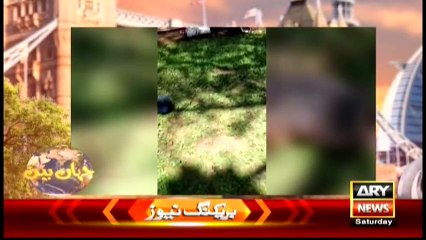 Jahan Bean  16th April 2016