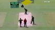 Watch Muhammad Asif 58 Wickets Collection