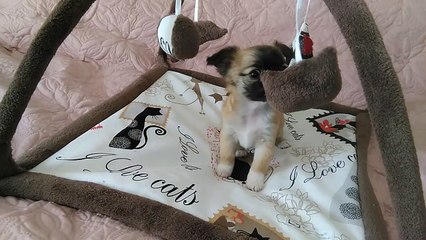 Miss You Forever du Domaine des Grands Causses (1)