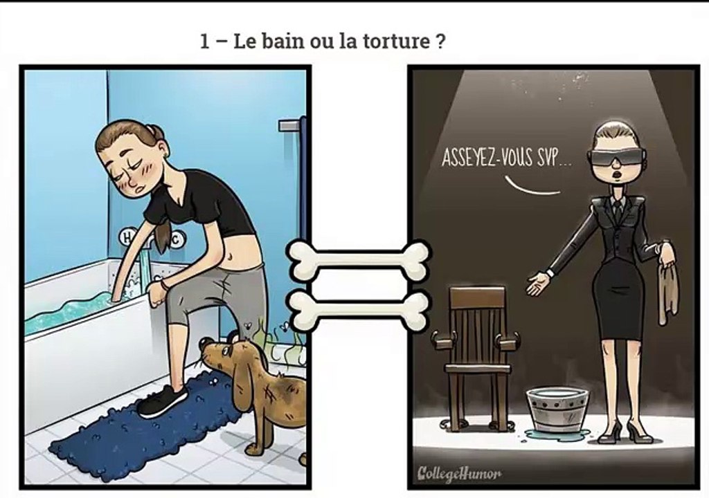 Voulez-vous apprendre plus sur votre chien? alors regarder ça..