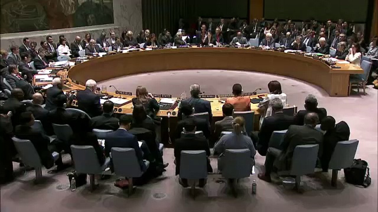 Angelina Jolie on Middle East (Syria)  Security Council meeting