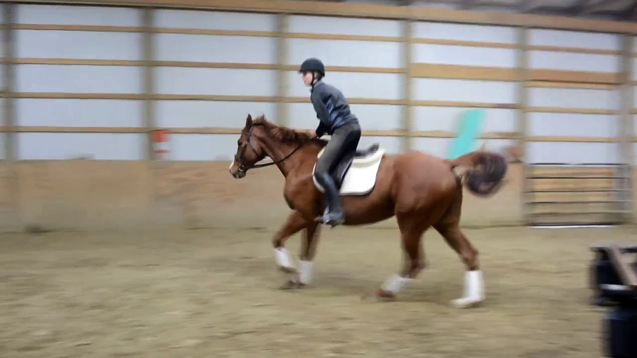 Jumping || Cut The Kid