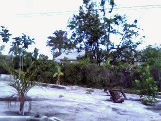 TB joshua prayer mountain  florida # 1