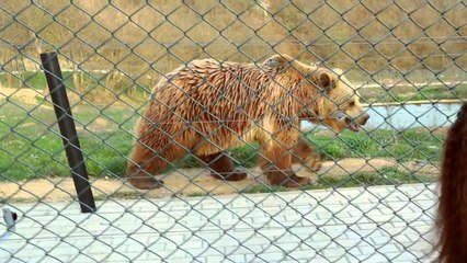 Eloreta Dërguti - Ec me kohën