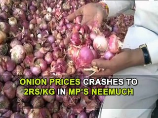 Onion prices crashes to 2Rs/kg in MP’s Neemuch