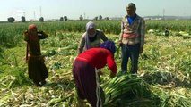 Flüchtlingsdorf in der Türkei | DW Nachrichten