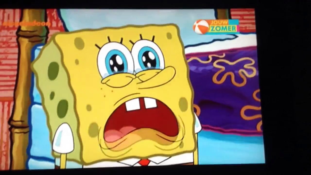 Spongebop