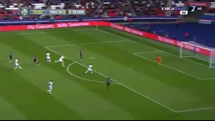 Zlatan Ibrahimovic Super Goal - Paris Saint Germain 1 - 0 Caen 16.04.2016