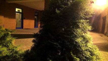 Dressing Up A Dog Like A Giant Spider Turns Out To Be The Best Prank EVER. Watch What Happened!