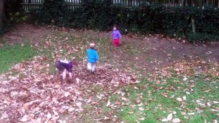 The Lauraville Kids Play in The Leaves