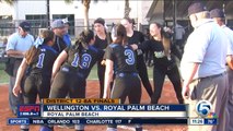 Wellington softball wins district title