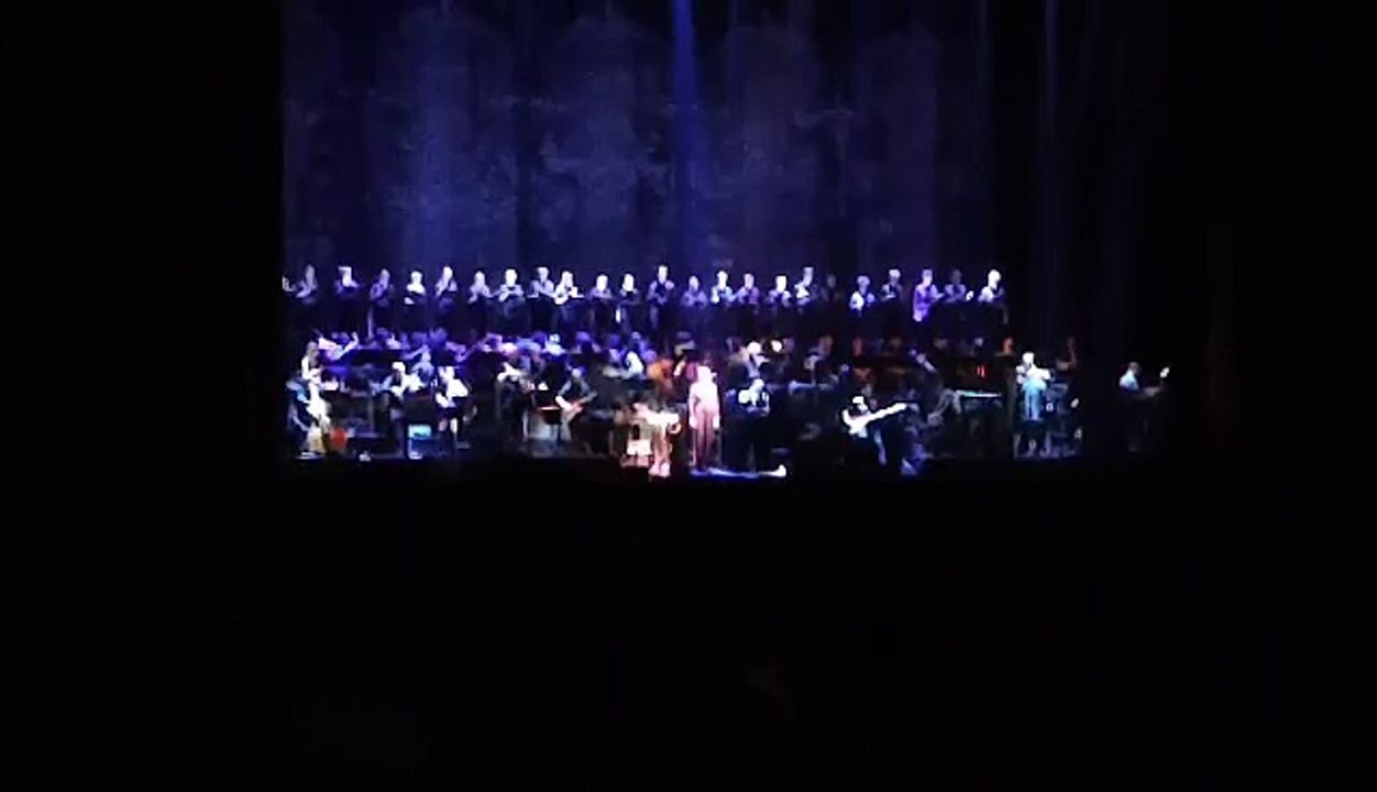 Concert d'Hans Zimmer au Palais 12: Gladiator (VIDEO)
