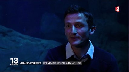 Découverte : en apnée sous la banquise