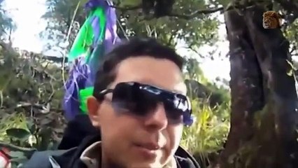 Eagle Attacks on Human - Crazy animal attack people