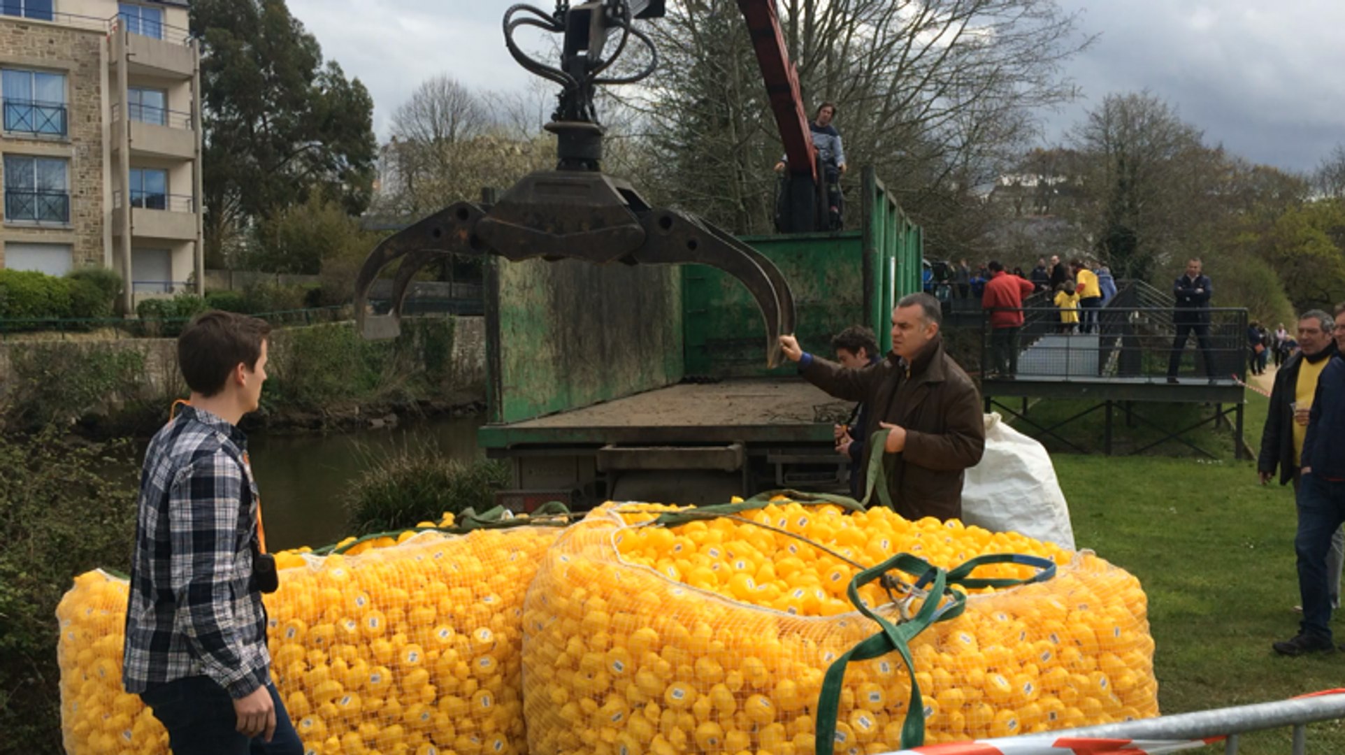 Duck Race
