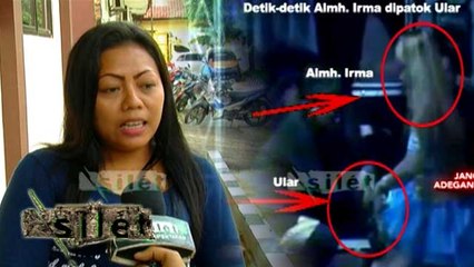 Kesaksian Vera Yang Kerap Manggung dengan King Kobra - Silet 16 April 2016