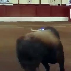 fulll funnny clip 2016