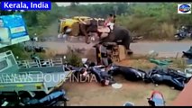 FULL VIDEO: Angry Elephant on rampage in Kerala | INDIA Palakkad