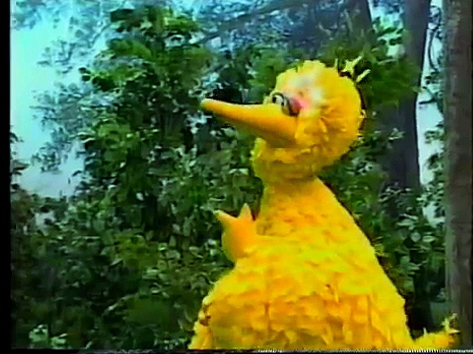 Sesame Street Scenes from 3249 - Dailymotion Video