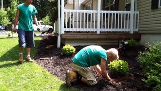 Landscaping Hanover, PA