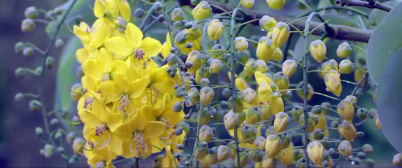 Letícia Birkheuer - Making of Revista VIP (2015)