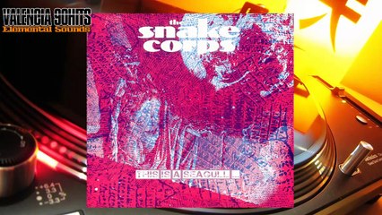 The Snake Corps -This is a Seagull [1989]