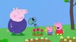 Peppa Pig Series 1 Episode 46   Frogs & Worms & Butterflies