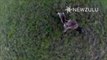 KANGAROO PUNCHES DRONE OUT OF THE SKY! (ORIGINAL)