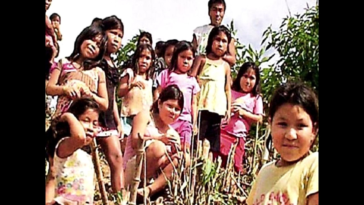 Peru News: Peru declares state of emergency in Ucayali community due to mercury