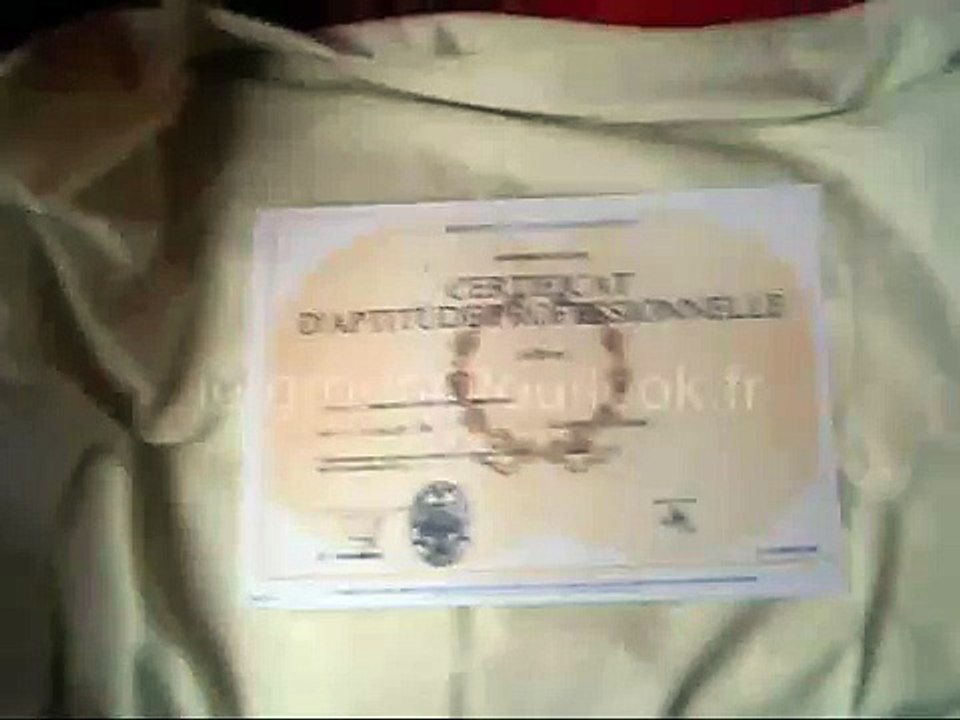 Diplôme de baccalauréat, CAP, IUT, universitaire et grande école_(360p)