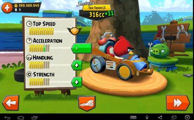 Angry Birds Go All Characters