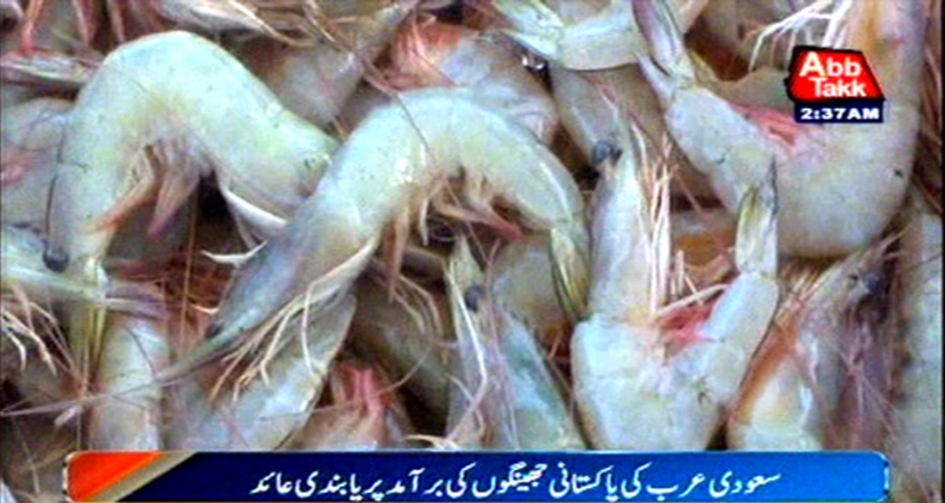 Saudi Arabia bans export of Pakistani prawns